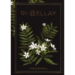 N°13 Du Bellay