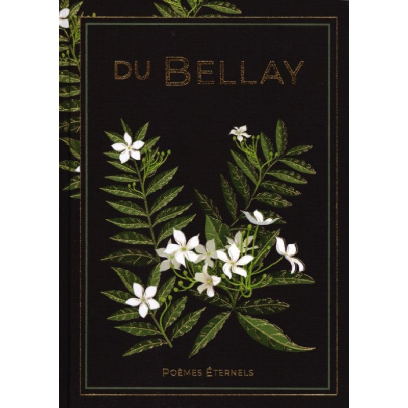 N°13 Du Bellay