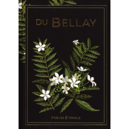 N°13 Du Bellay