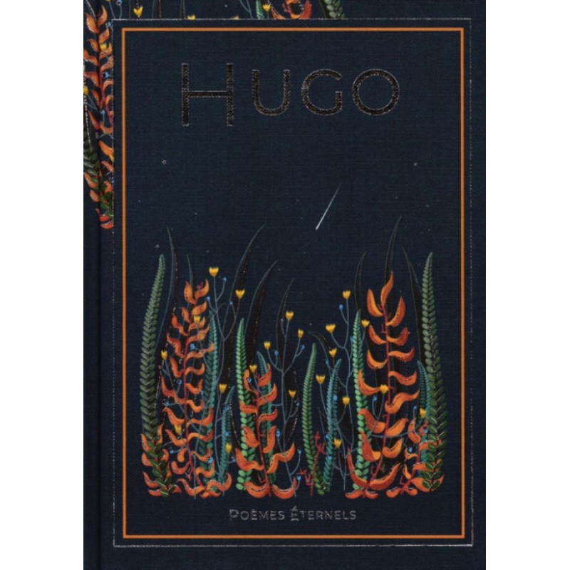 N°19 Hugo