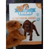 N°10 Le Setter Irlandais