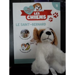 N°11 Le Saint-Bernard