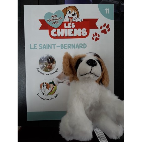 N°11 Le Saint-Bernard