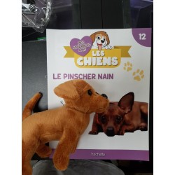 N°12 Le Pinscher Nain