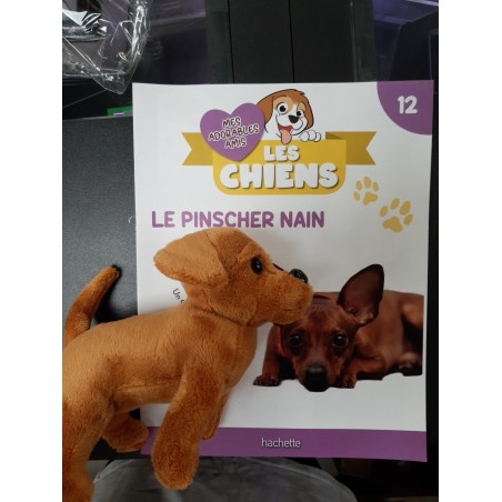 N°12 Le Pinscher Nain