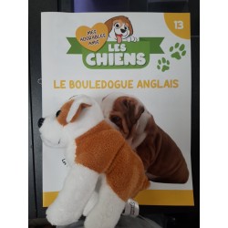 N°13 Le Bouledogue Anglais