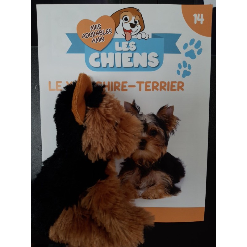 N°14 Le Yorkshire-Terrier