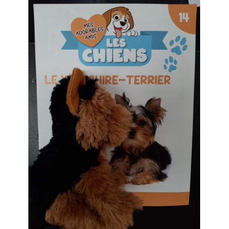 N°14 Le Yorkshire-Terrier