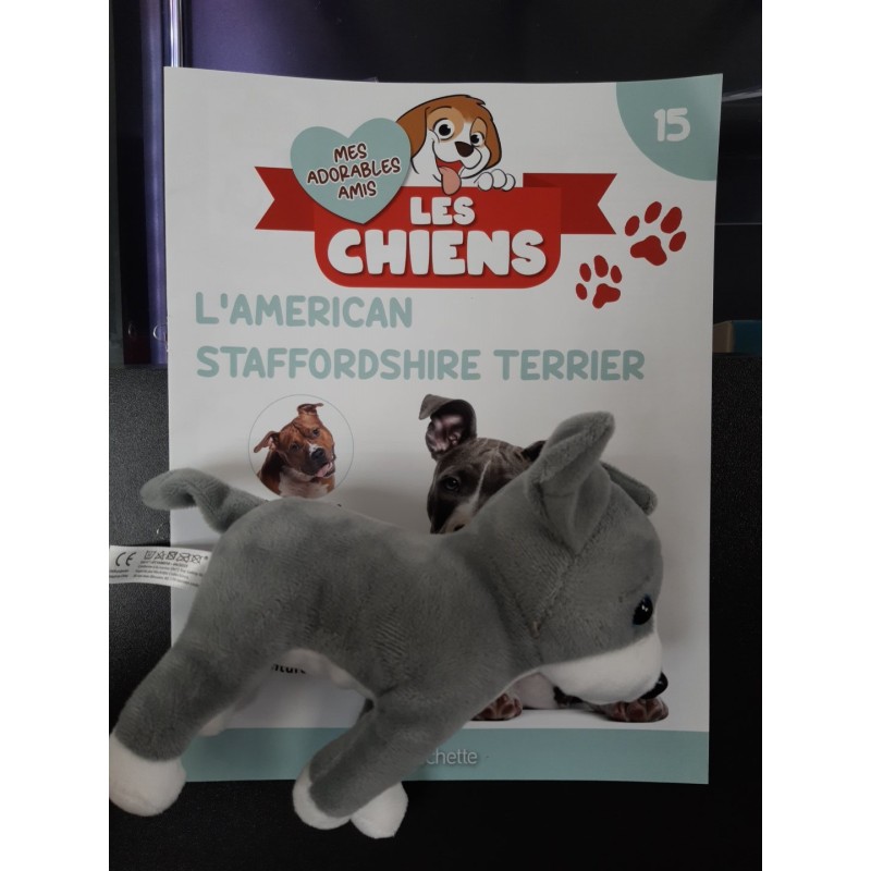 N°15 L'American Staffordshire Terrier