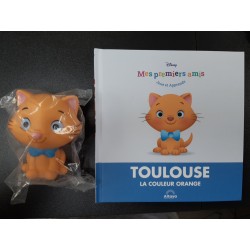 N°67 Toulouse