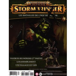 Stormbringer N°79