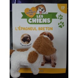 N°17 L'épagneul Breton