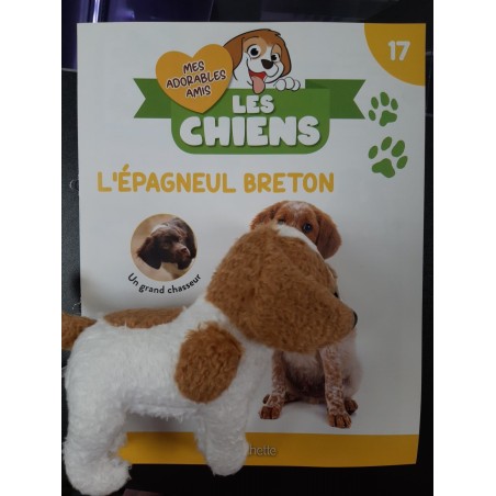 N°17 L'épagneul Breton