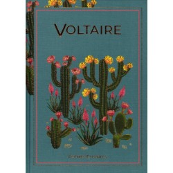 N°58 Voltaire