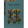 N°58 Voltaire