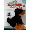 N°19 Le Doberman
