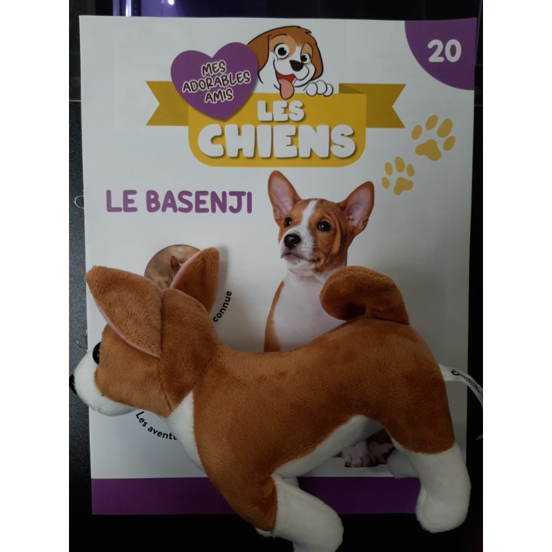 N°20 Le Basenji