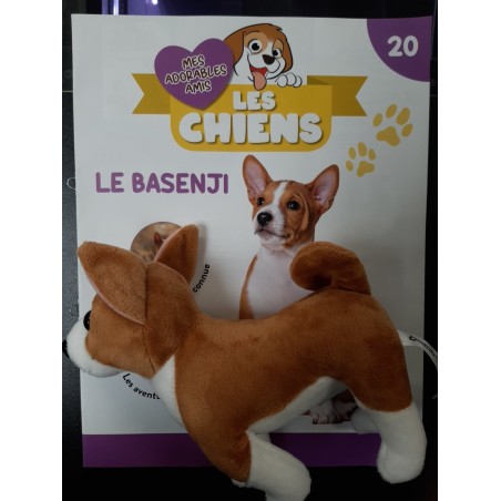 N°20 Le Basenji