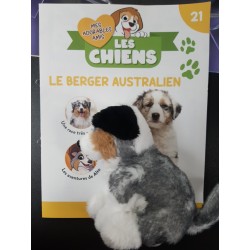 N°21 Le Berger Australien