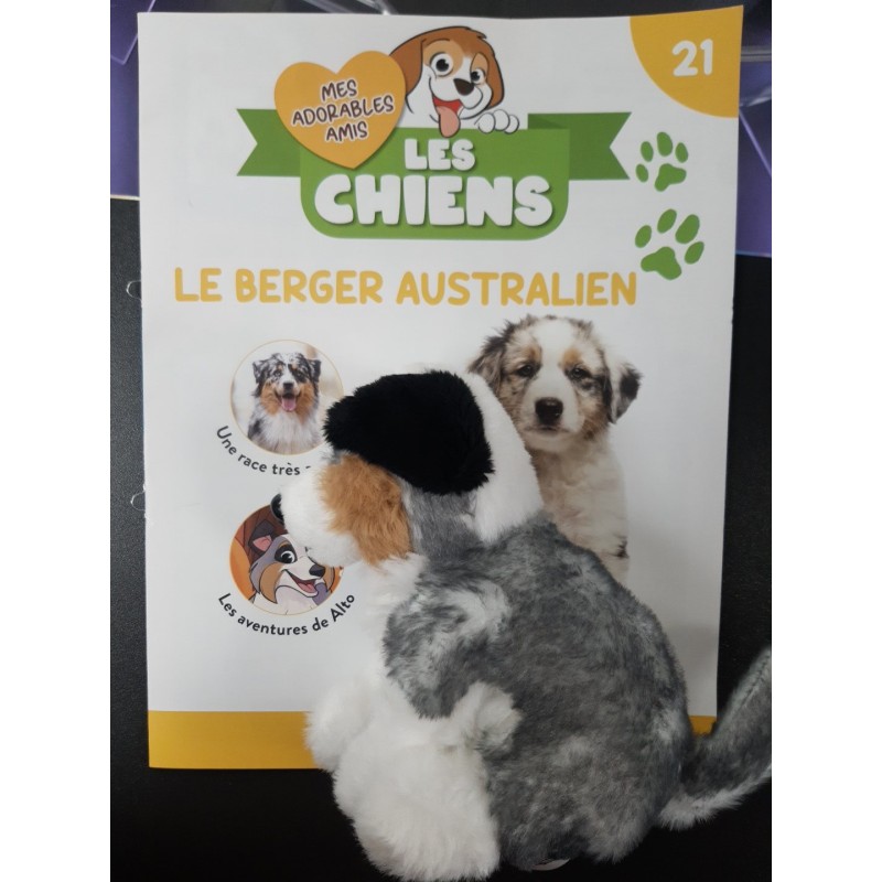 N°21 Le Berger Australien