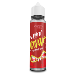 Freeze Goyave 50ml