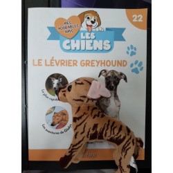 N°22 Le Lévrier Greyhound