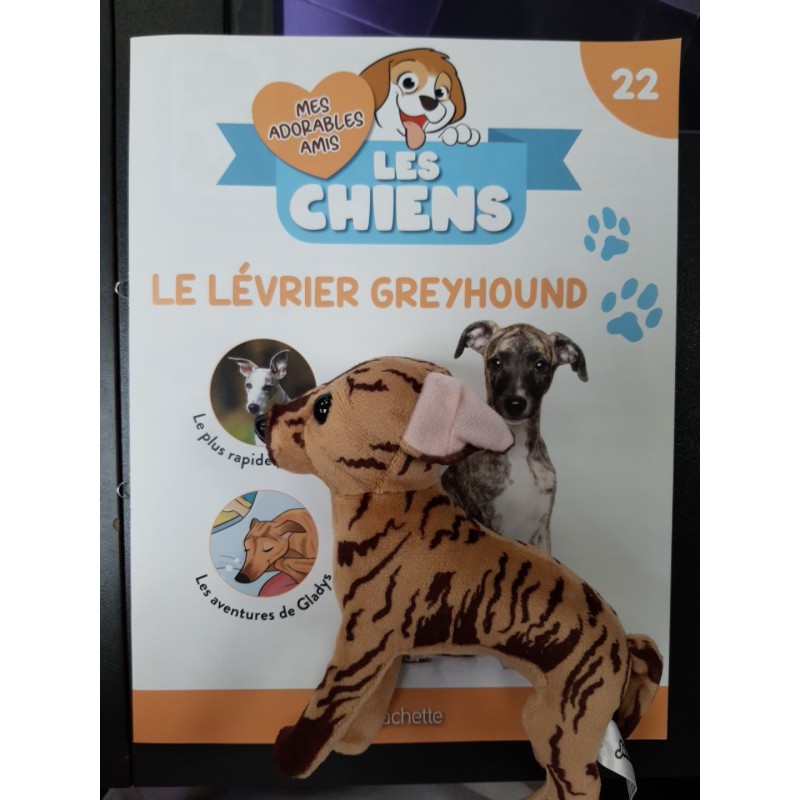 N°22 Le Lévrier Greyhound