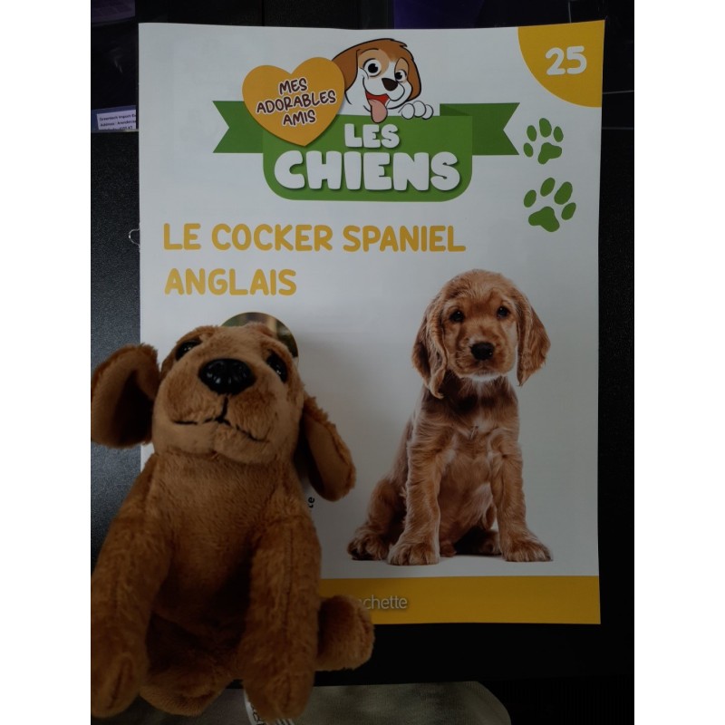 N°25 Le Cocker Spaniel Anglais
