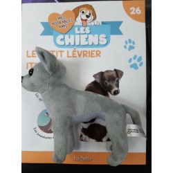 N°26 Le petit Lévrier Italien