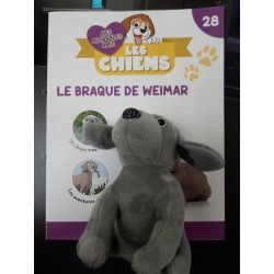 N°28 Le Braque de Weimar