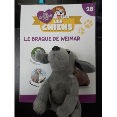 N°28 Le Braque de Weimar