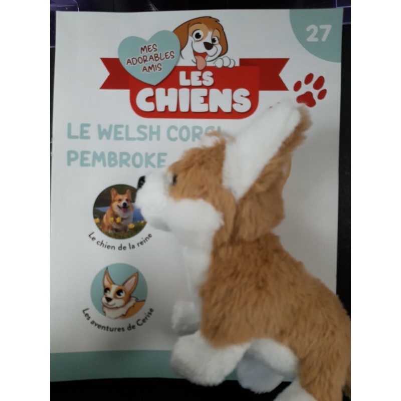 N°27 Le welsh corgi pembroke