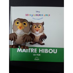 N°94 Maître Hibou - La Vue