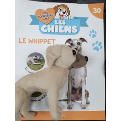 N°30 Le Whippet