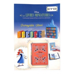 N°134 Incroyable Ariel