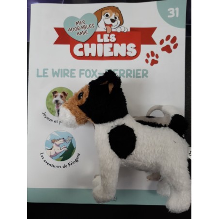 N°31 Le Wire Fox-Terrier