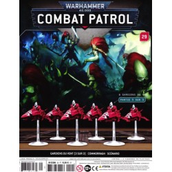 Combat Patrol N°29