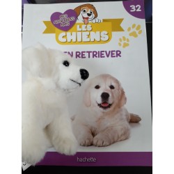N°32 Le Golden Retriver