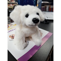 N°32 Le Golden Retriver