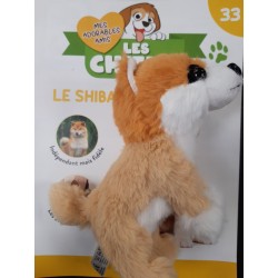 N°33 Le Shiba
