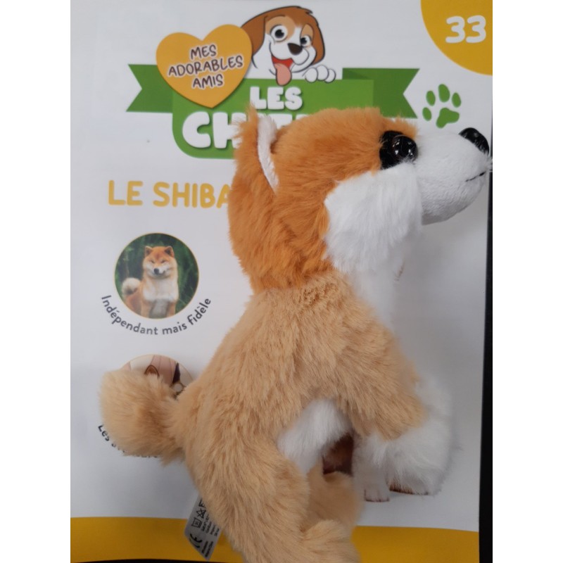 N°33 Le Shiba