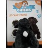 N°34 Le Cane Corso