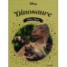 N°78 Dinosaures
