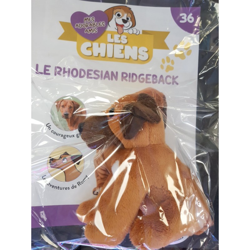 N°36 Le Rhodes Ridgeback