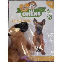 N°37 Le Malinois