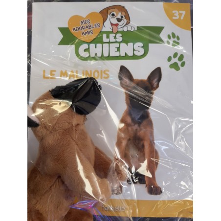 N°37 Le Malinois