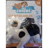 N°38 Le Pointer Anglais