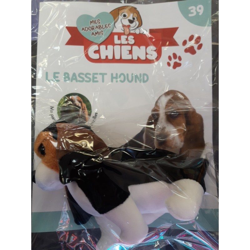 N°39 Le Basset Hound