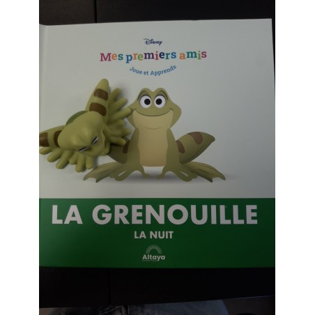 N°117 La Grenouille - La Nuit