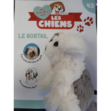 N°43 Le Bobtail